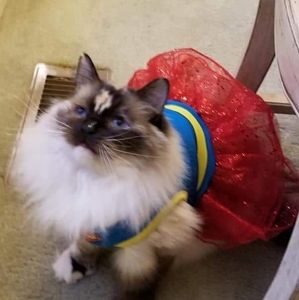 Meet your Posher, Jason